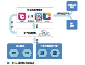 价值at风险 13只新股深度分析（下）