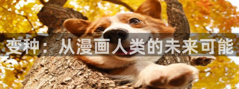 韩漫超级吸引力漫画