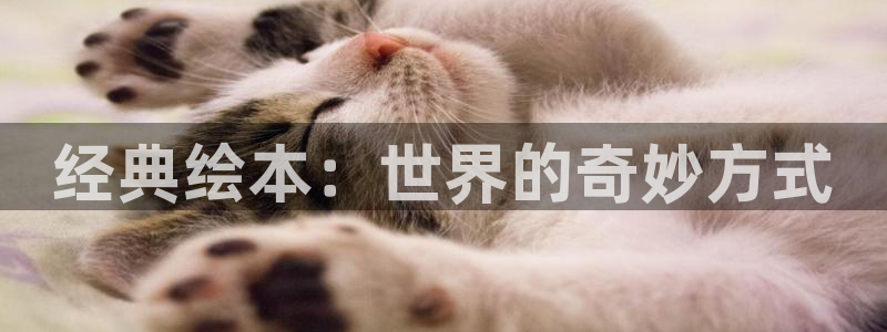 歪歪韩漫免费观看