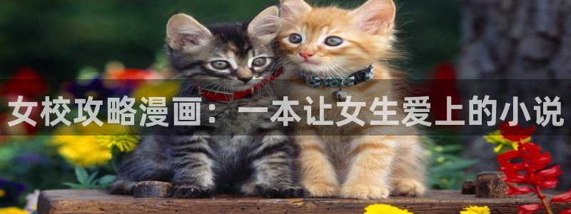 歪歪韩漫无羞遮漫画免费