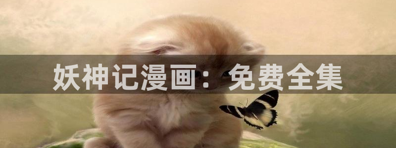 韩漫画网站大全