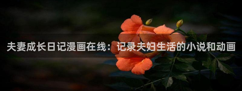 美丽新世界韩漫网址