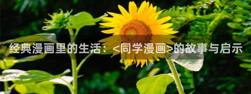 好看的漫画韩漫免费看