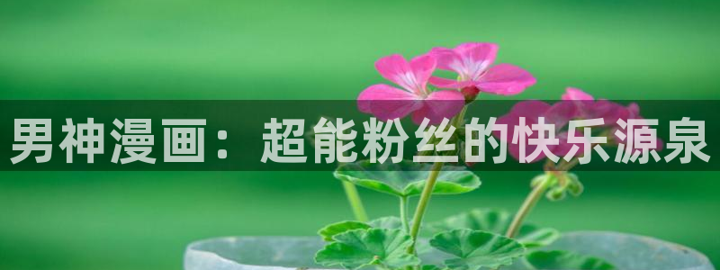 韩漫 生肉网站