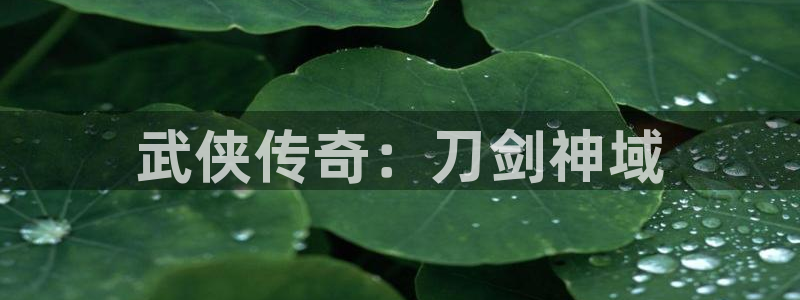 在哪能免费看韩漫