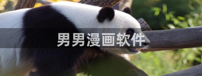 韩漫网站羞羞