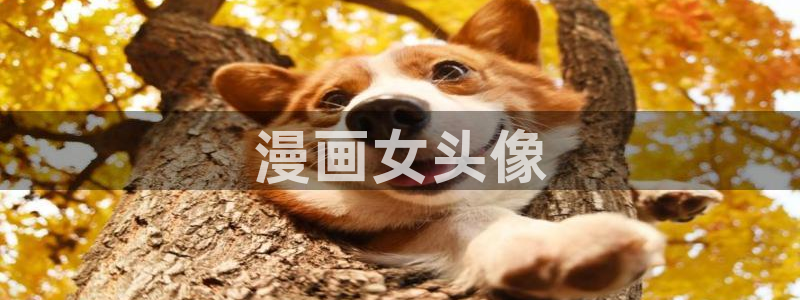 韩漫3d在线观看